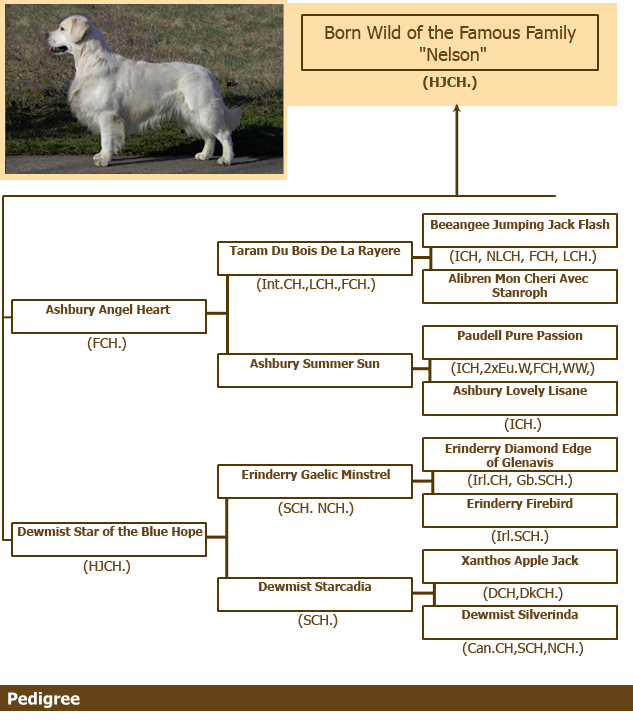 Nelson pedigree