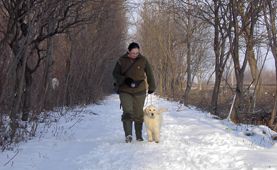 Golden retriever szukák