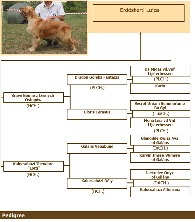 Erdõskerti Lujza pedigree